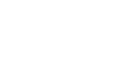 VIP Chicago limo